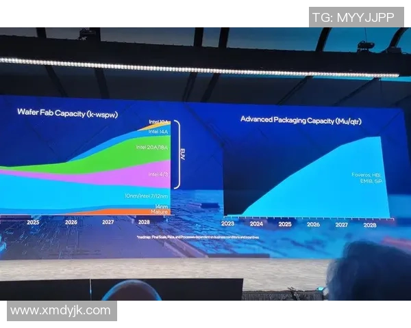 上海排球队整体压制革新之路：从战术到团队协作的全面提升与突破